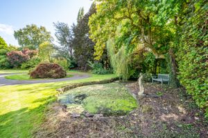 Pond and Turning circle- click for photo gallery